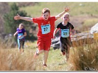 2015-04-18 -D47I2090 : ras y moelwyn